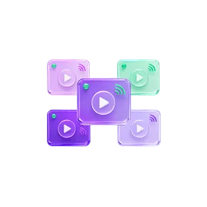 5 прямых эфиров